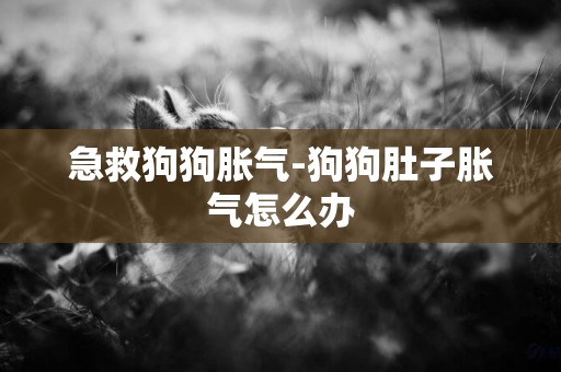 急救狗狗脹氣-狗狗肚子脹氣怎么辦