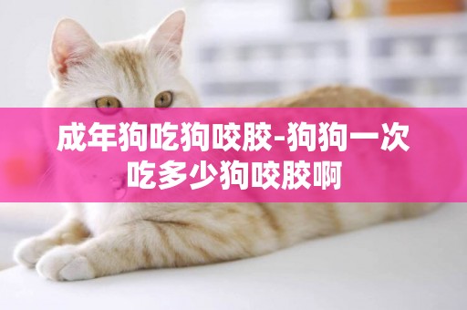 成年狗吃狗咬膠-狗狗一次吃多少狗咬膠啊 成年狗吃狗咬膠-狗狗一次吃多少狗咬膠啊