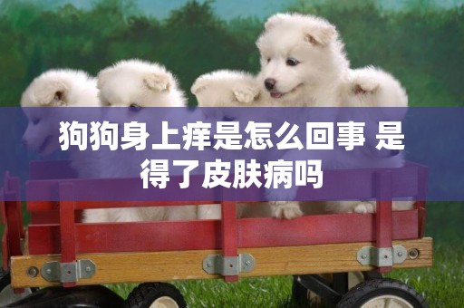 狗狗身上癢是怎么回事 是得了皮膚病嗎