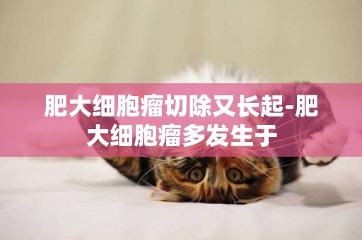 肥大細胞瘤切除又長起-肥大細胞瘤多發生于