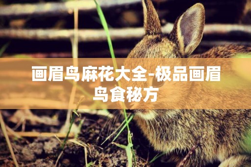 畫眉鳥麻花大全-極品畫眉鳥食秘方