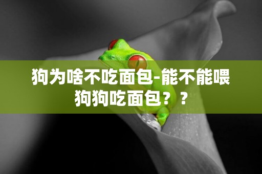 狗為啥不吃面包-能不能喂狗狗吃面包？？