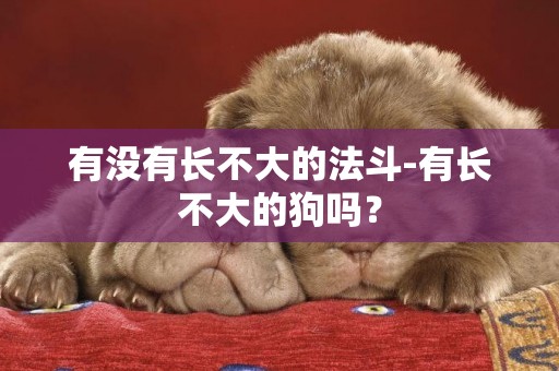 有沒有長不大的法斗-有長不大的狗嗎？