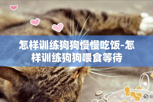 怎樣訓練狗狗慢慢吃飯-怎樣訓練狗狗喂食等待