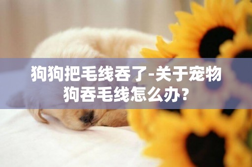 狗狗把毛線吞了-關于寵物狗吞毛線怎么辦？