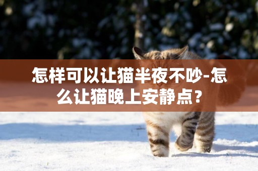 怎樣可以讓貓半夜不吵-怎么讓貓晚上安靜點？