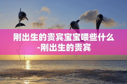 剛出生的貴賓寶寶喂些什么-剛出生的貴賓