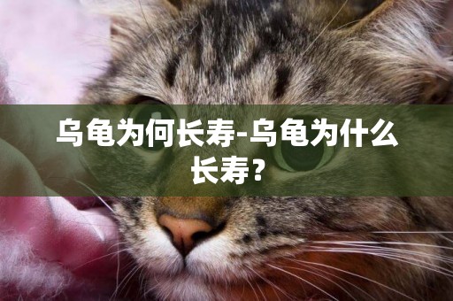 烏龜為何長壽-烏龜為什么長壽？