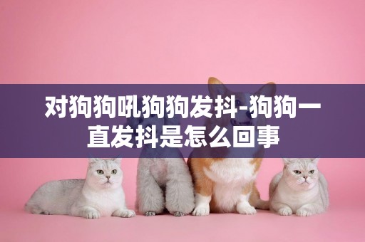 對狗狗吼狗狗發抖-狗狗一直發抖是怎么回事