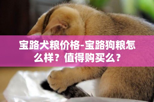 寶路犬糧價格-寶路狗糧怎么樣？值得購買么？