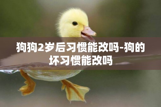 狗狗2歲后習慣能改嗎-狗的壞習慣能改嗎