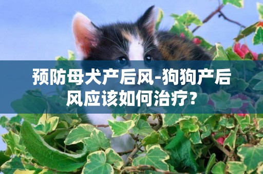 預防母犬產后風-狗狗產后風應該如何治療？