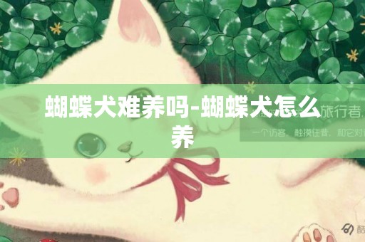 蝴蝶犬難養嗎-蝴蝶犬怎么養