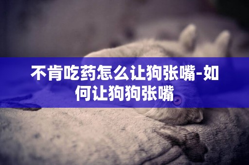 不肯吃藥怎么讓狗張嘴-如何讓狗狗張嘴
