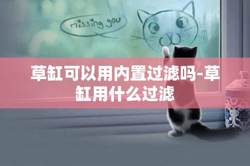 草缸可以用內置過濾嗎-草缸用什么過濾