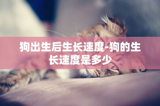 狗出生后生長速度-狗的生長速度是多少