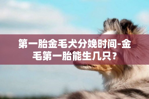 第一胎金毛犬分娩時間-金毛第一胎能生幾只？