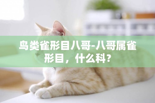 鳥類雀形目八哥-八哥屬雀形目，什么科？