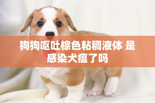 狗狗嘔吐棕色粘稠液體 是感染犬瘟了嗎
