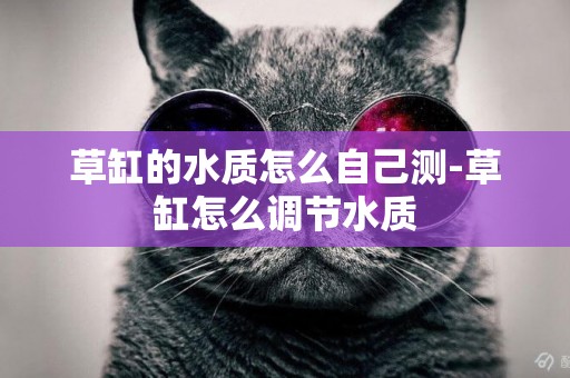 草缸的水質怎么自己測-草缸怎么調節水質