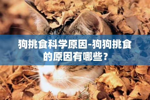 狗挑食科學原因-狗狗挑食的原因有哪些？