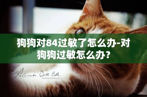 狗狗對84過敏了怎么辦-對狗狗過敏怎么辦？