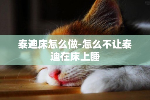 泰迪床怎么做-怎么不讓泰迪在床上睡