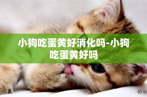 小狗吃蛋黃好消化嗎-小狗吃蛋黃好嗎