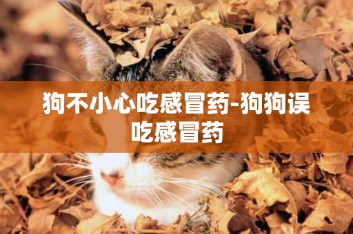 狗不小心吃感冒藥-狗狗誤吃感冒藥