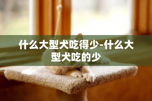 什么大型犬吃得少-什么大型犬吃的少