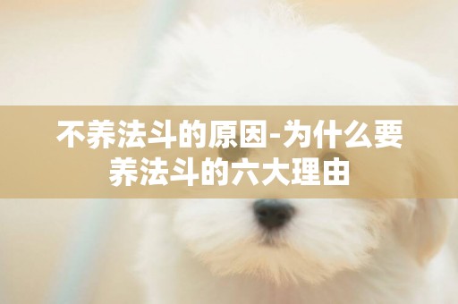 不養法斗的原因-為什么要養法斗的六大理由