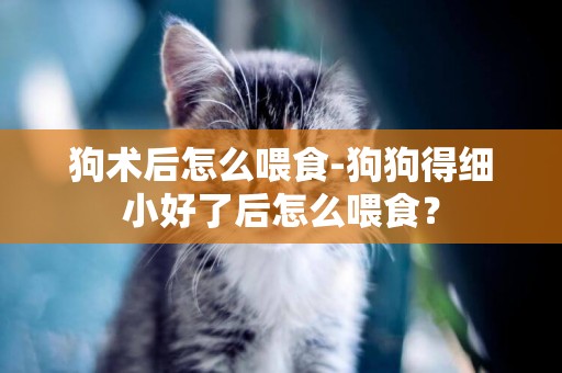 狗術后怎么喂食-狗狗得細小好了后怎么喂食？