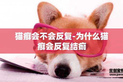 貓癬會不會反復-為什么貓癬會反復結痂