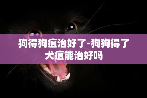 狗得狗瘟治好了-狗狗得了犬瘟能治好嗎