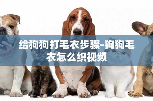 給狗狗打毛衣步驟-狗狗毛衣怎么織視頻