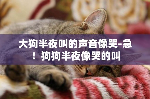 大狗半夜叫的聲音像哭-急！狗狗半夜像哭的叫