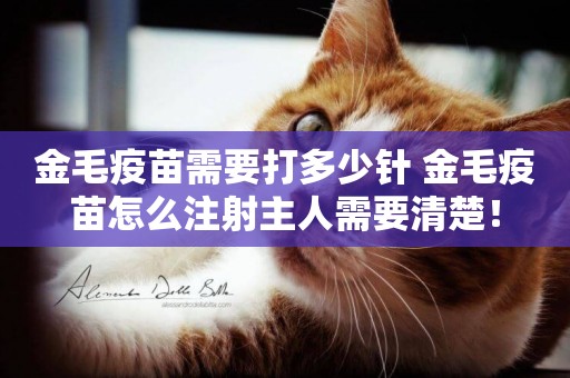 金毛疫苗需要打多少針 金毛疫苗怎么注射主人需要清楚！