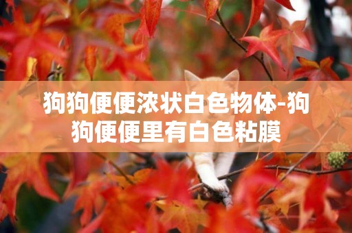狗狗便便濃狀白色物體-狗狗便便里有白色粘膜