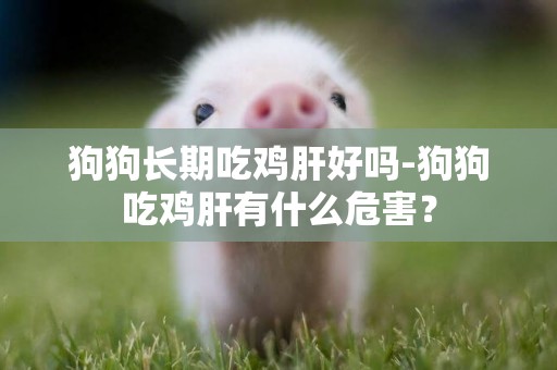狗狗長期吃雞肝好嗎-狗狗吃雞肝有什么危害？