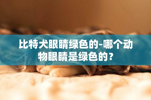 比特犬眼睛綠色的-哪個動物眼睛是綠色的？