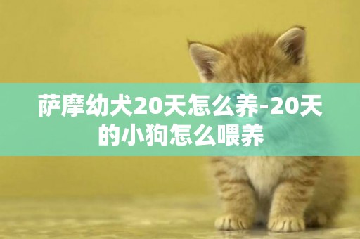 薩摩幼犬20天怎么養-20天的小狗怎么喂養