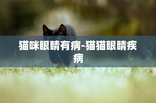 貓咪眼睛有病-貓貓眼睛疾病