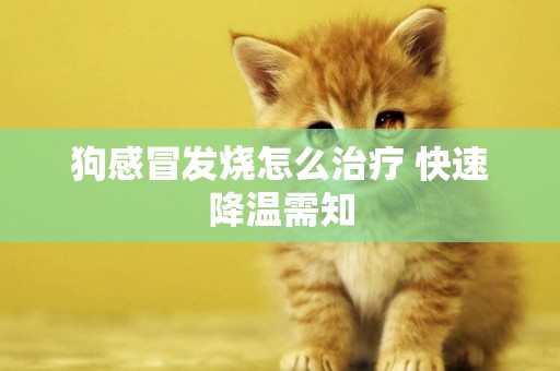 狗感冒發燒怎么治療 快速降溫需知