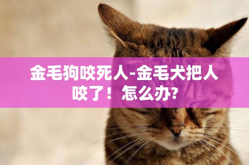 金毛狗咬死人-金毛犬把人咬了！怎么辦?