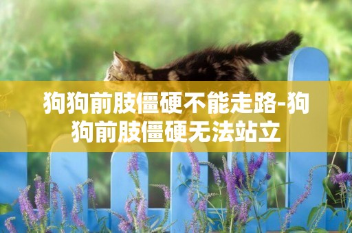 狗狗前肢僵硬不能走路-狗狗前肢僵硬無法站立
