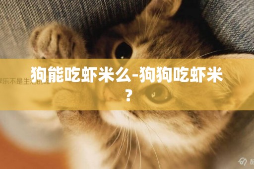 狗能吃蝦米么-狗狗吃蝦米？