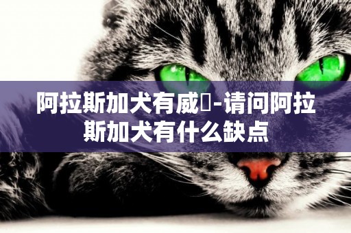 阿拉斯加犬有威脅-請問阿拉斯加犬有什么缺點