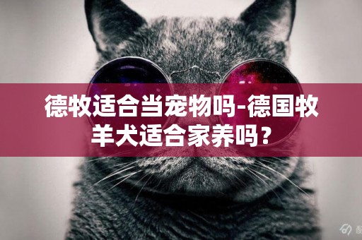 德牧適合當寵物嗎-德國牧羊犬適合家養嗎？