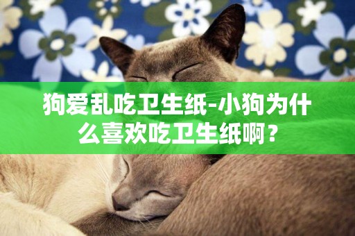 狗愛亂吃衛生紙-小狗為什么喜歡吃衛生紙啊？