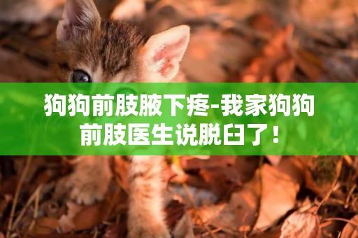 狗狗前肢腋下疼-我家狗狗前肢醫生說脫臼了！